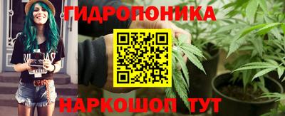 гидропоника Краснознаменск