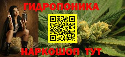 сатива Краснокаменск