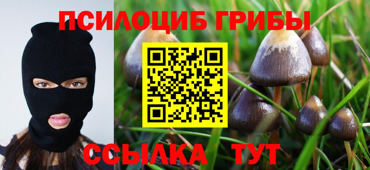 Псилоцибиновые грибы Psilocybe  Вход с VPN  Зеленокумск 